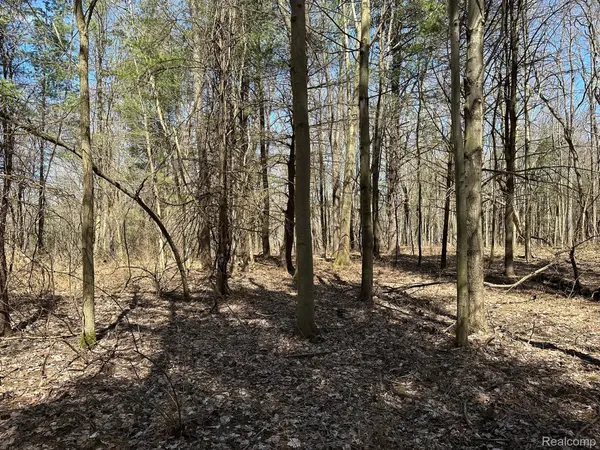 2.02 Acres VL - KNIGHTS BRIDGE RD, Addison Township, MI 48367