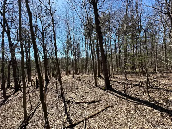 2.05 Acres VL - KNIGHTS BRIDGE RD, Addison Township, MI 48367