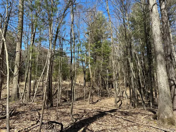 2.05 Acres VL - KNIGHTS BRIDGE RD, Addison Township, MI 48367