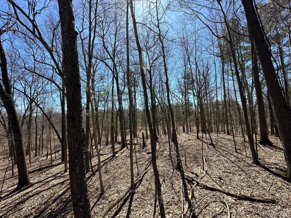 2.05 Acres VL - KNIGHTS BRIDGE RD, Addison Township, MI 48367