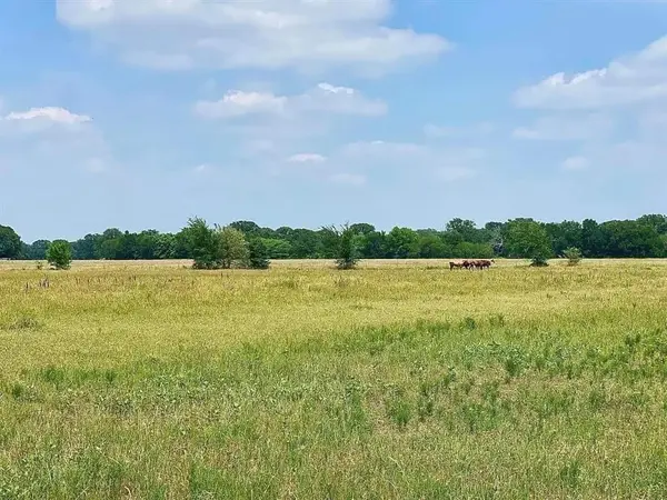 12053 S 34 Highway, Scurry, TX 75158