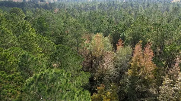 0 Harper Bottom Road, Ruston, LA 71270