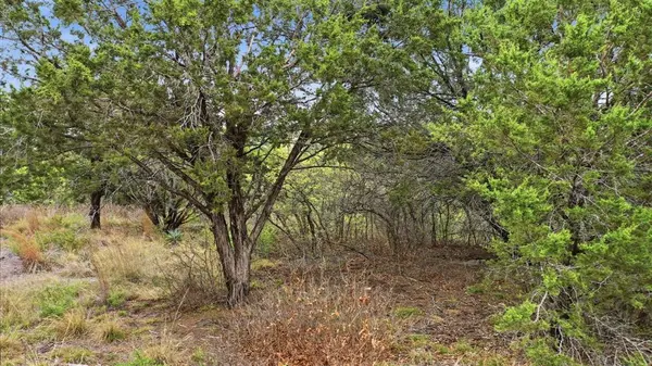 TR956 Majestic Shores, Bluff Dale, TX 76433