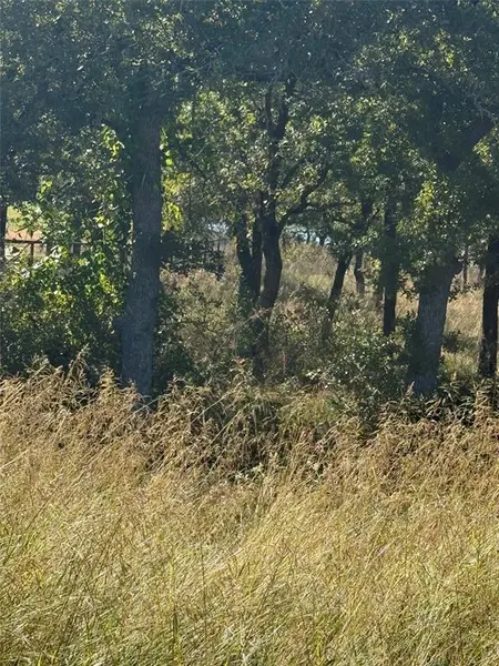 416 Sunset Bay Pointe Court, Chico, TX 76431