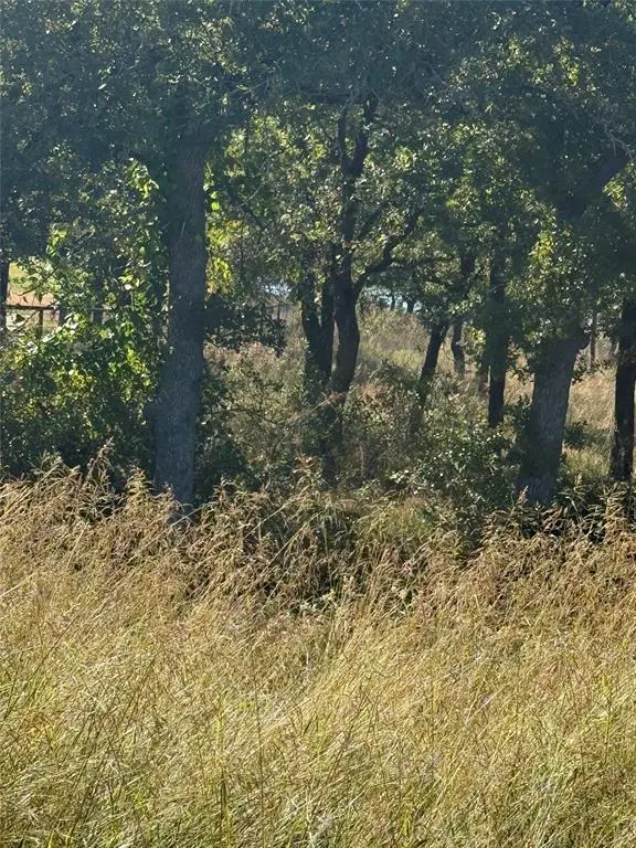 416 Sunset Bay Pointe Court, Chico, TX 76431