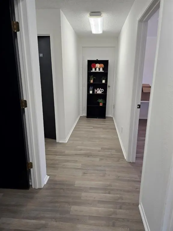 115 E Archer Street, Jacksboro, TX 76458