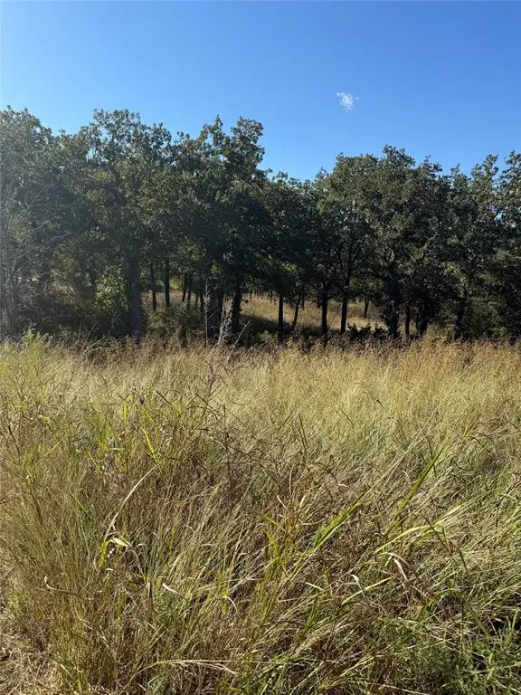 416 Sunset Bay Pointe Court, Chico, TX 76431