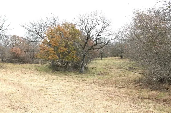 Lot 202 Ridgeline Drive, Chico, TX 76431