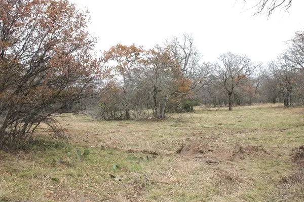Lot 202 Ridgeline Drive, Chico, TX 76431