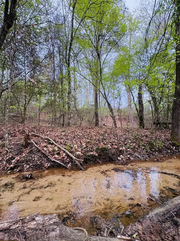 TBD FM 711, Center, TX 75935