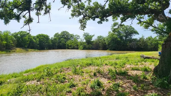 130 New Hope Lane, Palo Pinto, TX 76484