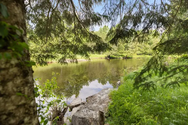 115 Clyde LN, Lanark Highlands, ON K0G 1K0