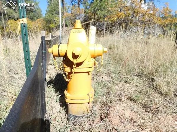 682 Copper Fox PL, Larkspur, CO 80118