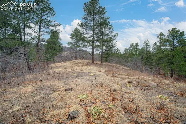 2054 Stratton Forest HTS, Colorado Springs, CO 80906