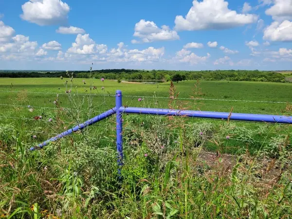 TBD County Road 212, Coolidge, TX 76635