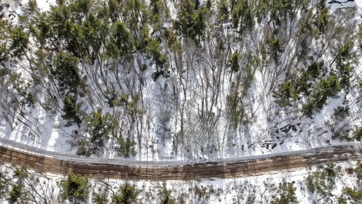 Lot 7 Concession 8 N/A, East Ferris, ON P0H 1K0