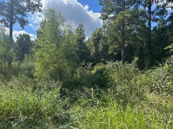 0 cottonwood, Frierson, LA 71027