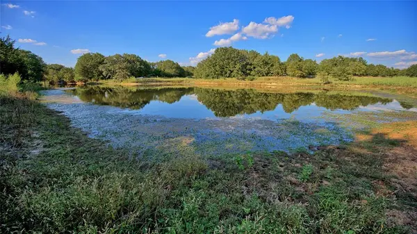 TBD Alamo Road, Bowie, TX 76230