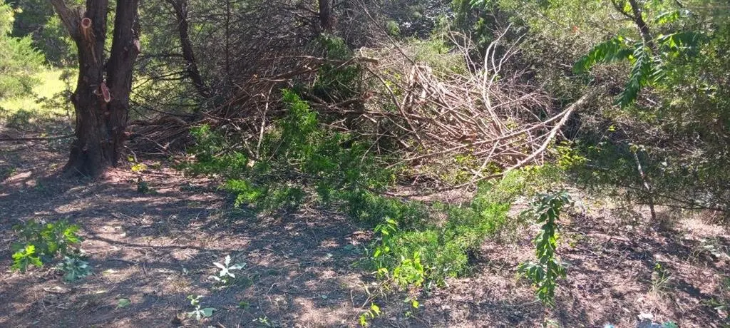 TWB County 3114 Road NW, Purdon, TX 76679