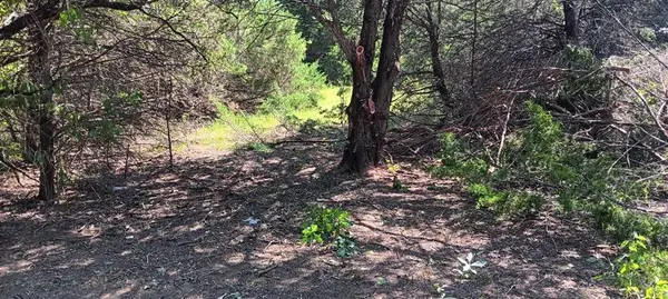 TWB County 3114 Road NW, Purdon, TX 76679