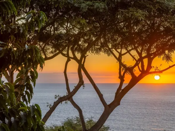 81-6426 KAELEHUA WAY, Kealakekua, HI 96750