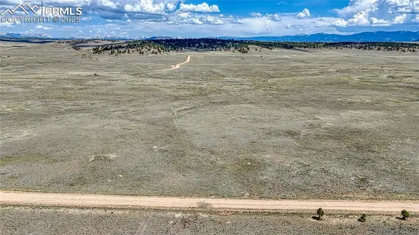 4332 Goldenburg Canyon RD, Hartsel, CO 80449