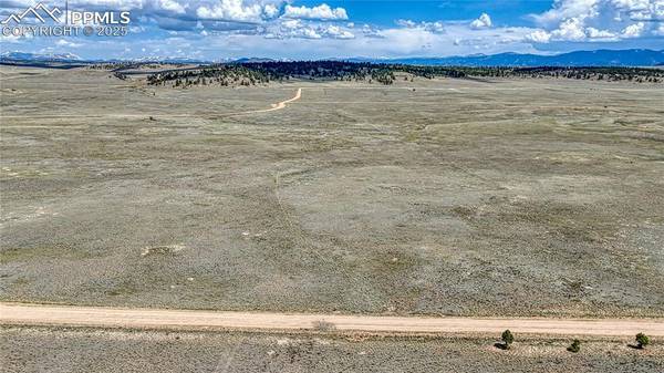 4332 Goldenburg Canyon RD, Hartsel, CO 80449