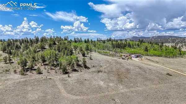 4332 Goldenburg Canyon RD, Hartsel, CO 80449