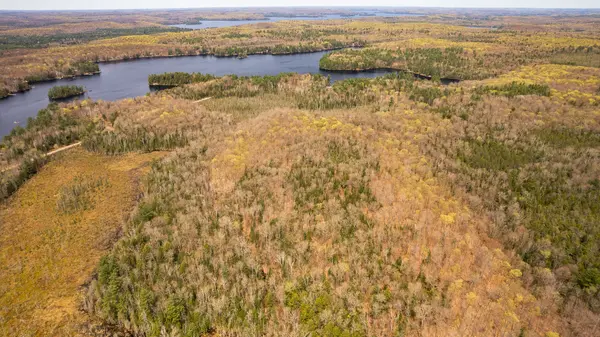 1356 Dickie Lake RD, Lake Of Bays, ON P0B 1A0