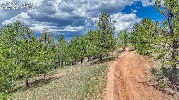 24 Wild Horse CIR, Cripple Creek, CO 80813