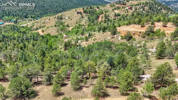 24 Wild Horse CIR, Cripple Creek, CO 80813
