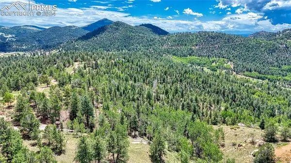 24 Wild Horse CIR, Cripple Creek, CO 80813