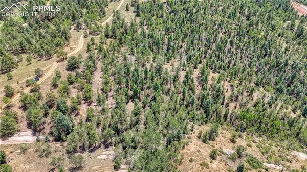 24 Wild Horse CIR, Cripple Creek, CO 80813