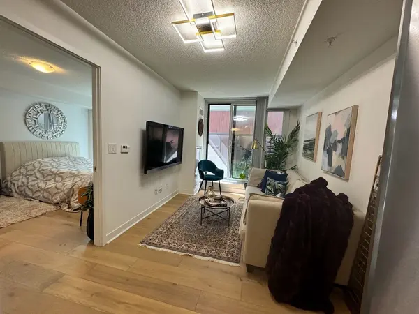 295 Adelaide ST W #217, Toronto C01, ON M5V 0L4