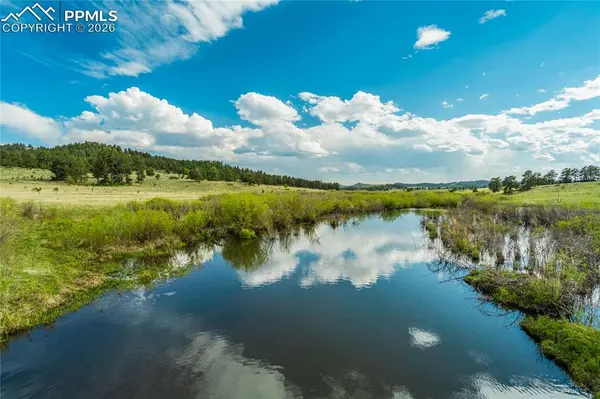 224 Lakeview Forest HTS, Florissant, CO 80816