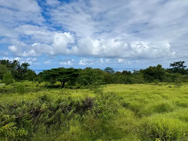 PUUMOI ROAD, Papaikou, HI 96781