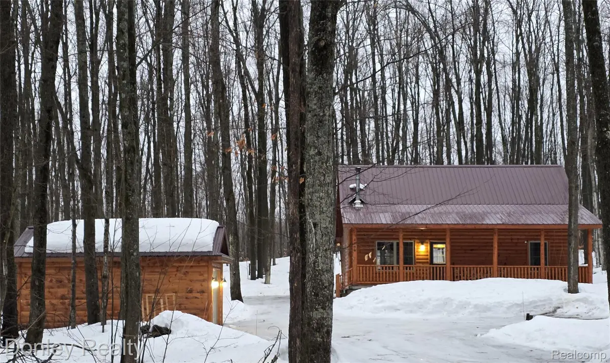 8854 Dellwood DR, Star Township, MI 49730