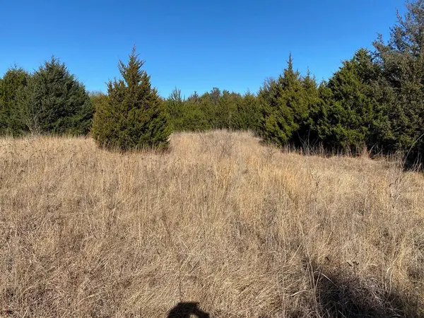 37 ac Club Lake Lane, Whitesboro, TX 76273