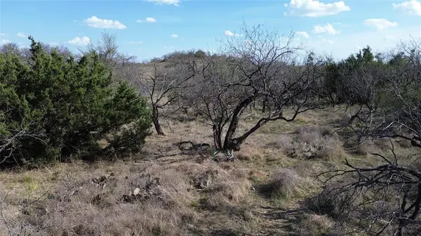 000 LAKE POINT Road, Comanche, TX 76442