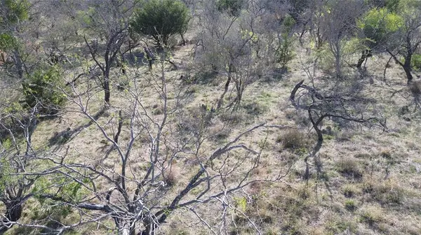 000 LAKE POINT Road, Comanche, TX 76442