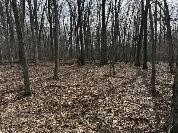 162 North Rd, Chester Twp., NJ 07930