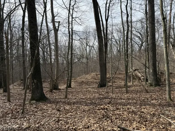 162 North Rd, Chester Twp., NJ 07930