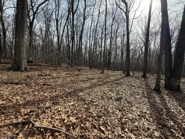 164 North Rd, Chester Twp., NJ 07930