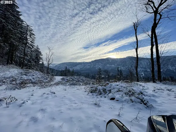 562 WOODARD CREEK RD, Stevenson, WA 98648