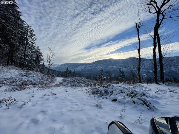 562 WOODARD CREEK RD, Stevenson, WA 98648