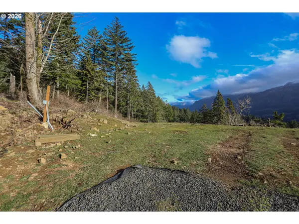 562 WOODARD CREEK RD, Stevenson, WA 98648