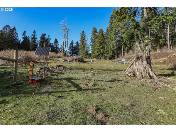 562 WOODARD CREEK RD, Stevenson, WA 98648