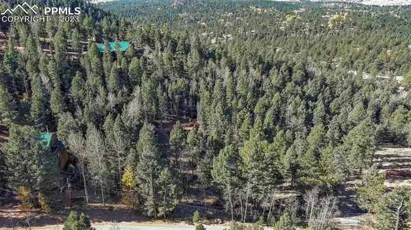 2700 N Mountain Estates RD, Florissant, CO 80816