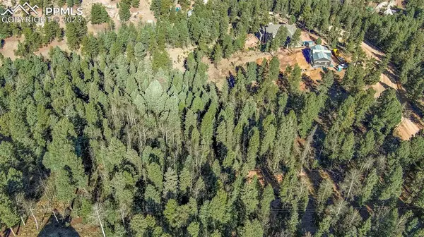 2700 N Mountain Estates RD, Florissant, CO 80816