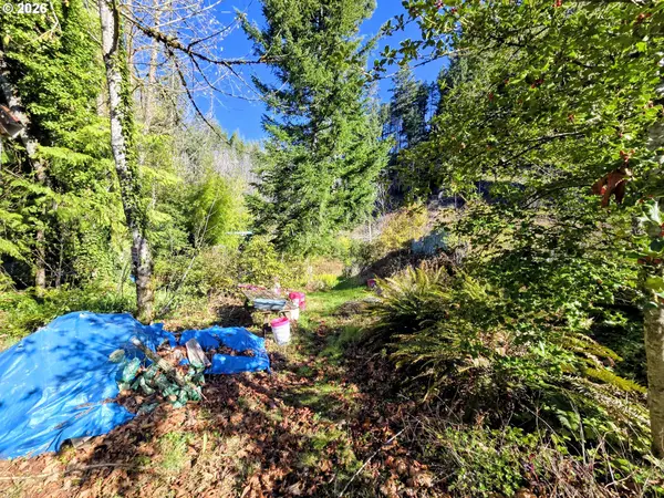 47995 MCKENZIE HWY, Vida, OR 97488